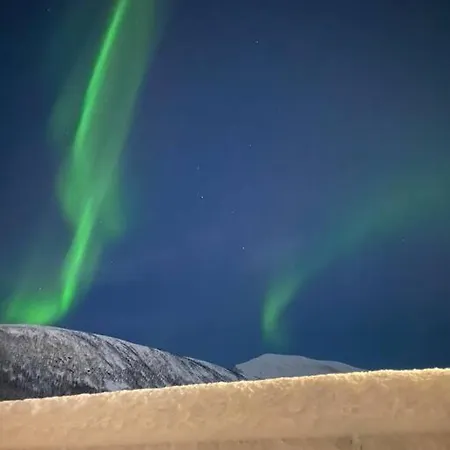 House In The Nature,